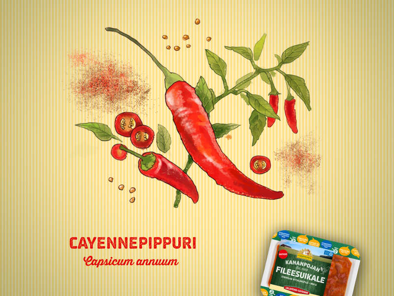 Kananpoika vie niin kauas kuin cayennepippuri kasvaa