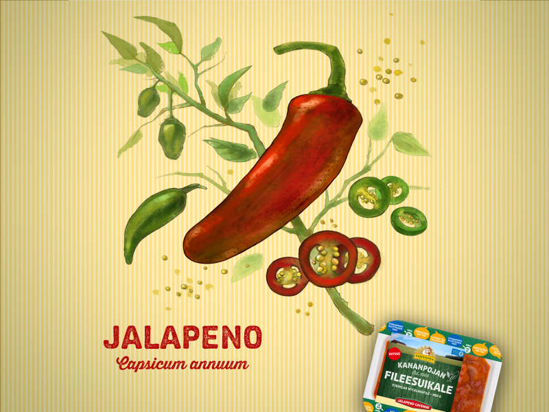 Jalapeno saa kananpojankin tulistumaan