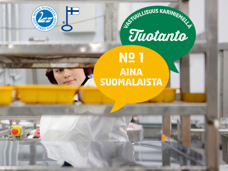 1) Aina suomalaista