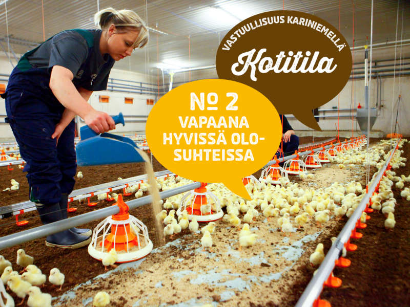 2) Vapaana hyvissä olosuhteissa
