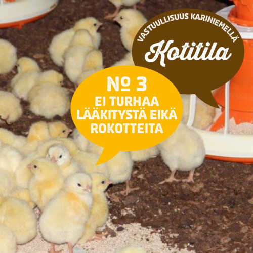  3) Ei turhaa lääkitystä eikä rokotteita