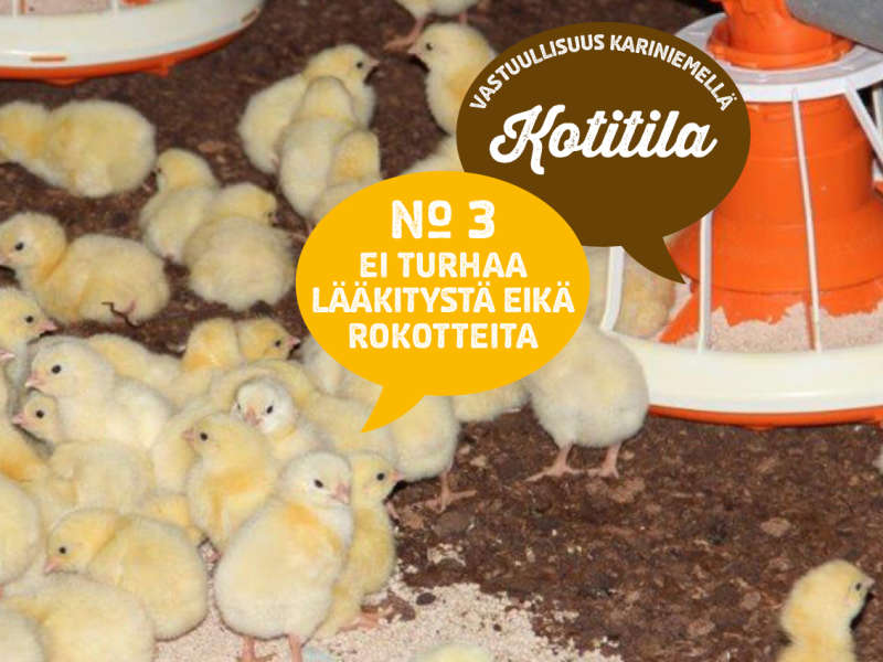3) Ei turhaa lääkitystä eikä rokotteita