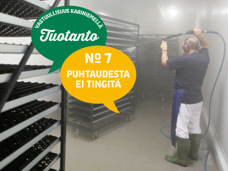 7) Puhtaudesta ei tingitä